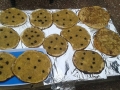 7 pissaladières